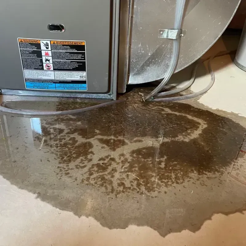 Appliance Leak Cleanup in Gettysburg, PA